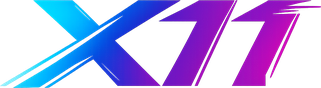 x11